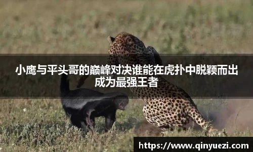 好博体育