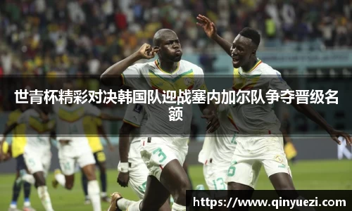 好博体育平台